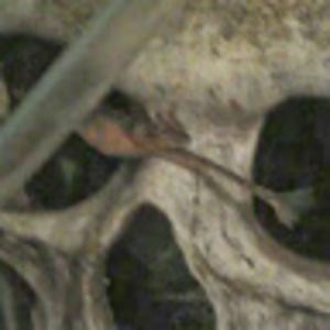 Meet your Posher, Alanna